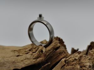 Wechselring - Schiene