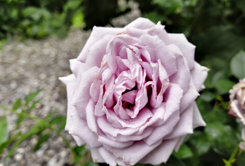 Tipps für Männer die ihre Liebste beschenken möchten